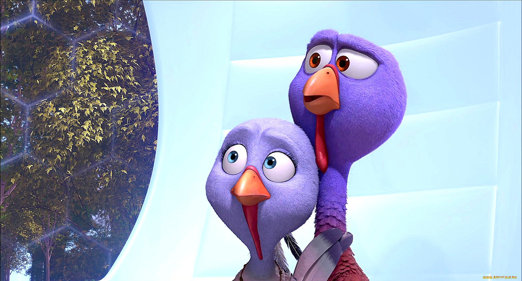 , free birds, , , , 